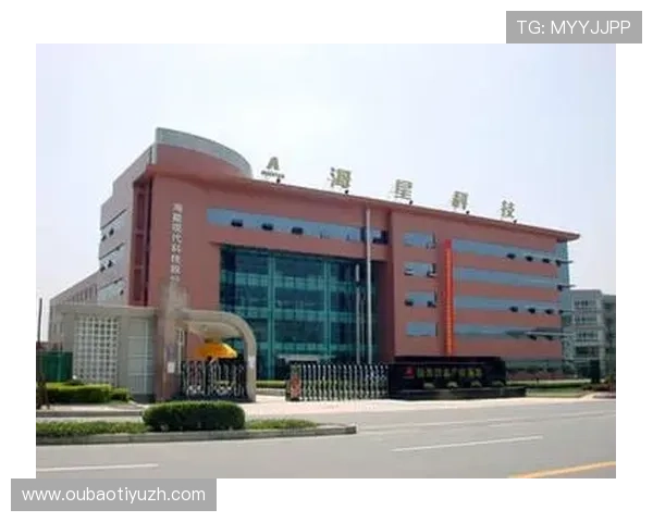 海星集团网址全面升级提升用户体验与企业形象